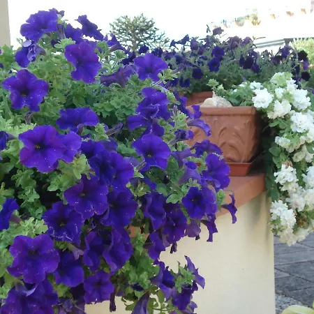 Bed and breakfast Globetrotter 3*