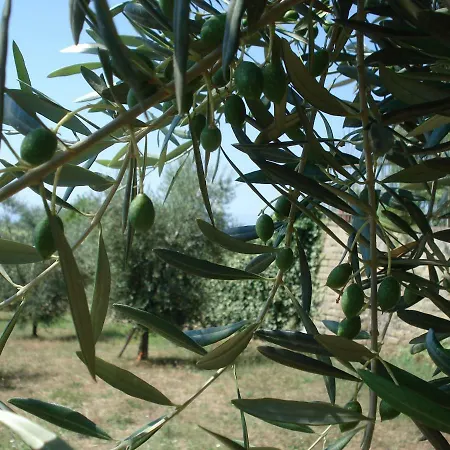 Bed and breakfast Globetrotter