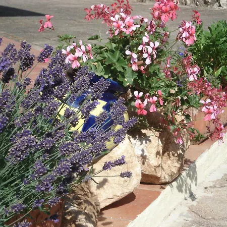 Couette-café Globetrotter 3*