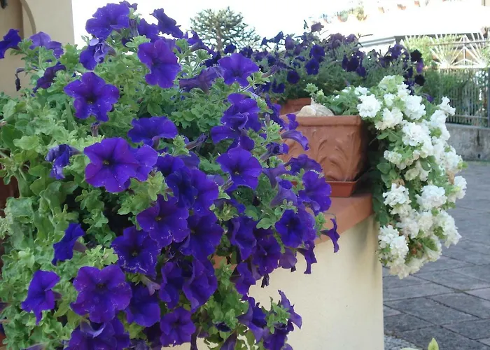 Bed and Breakfast Globetrotter 3*