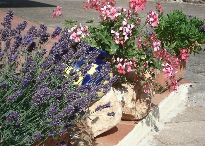 Bed and Breakfast Globetrotter 3*