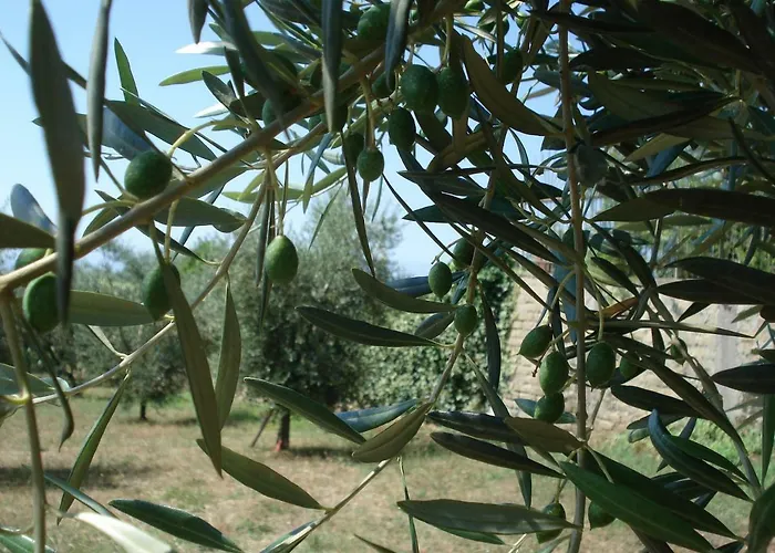 Bed and Breakfast Globetrotter